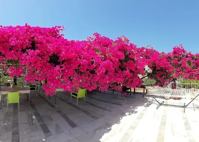 Akdeniz 3*