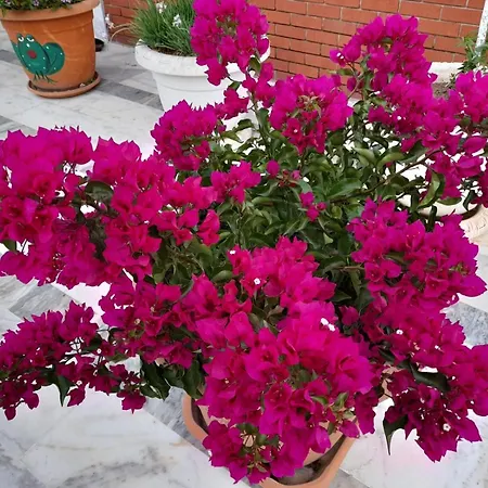 Szálloda Akdeniz Ekincik