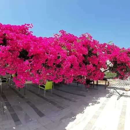 Akdeniz 3*